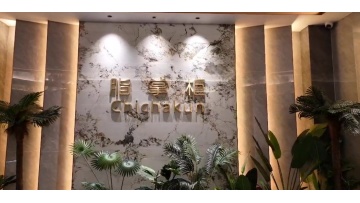 company introduction