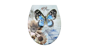 Fanmitrk Toilet Seat UF819-09