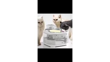 Smart Automatic Water Dispenser for Pets