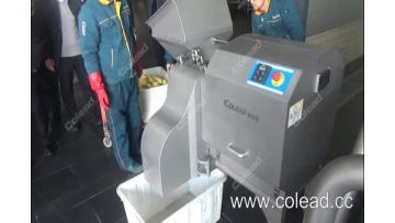 Dicer machine QDL