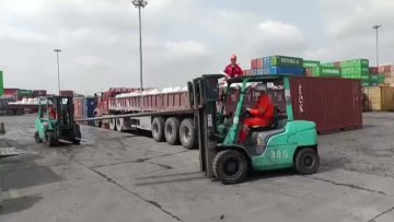 port inspection3
