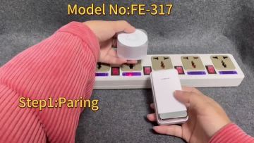 FE-317