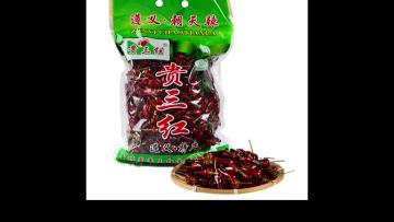 Capsicum frutescens var Dried chilli 2