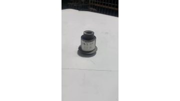 OEM Customized Bushing Assembly BYD E6