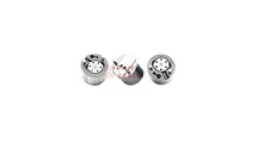 Fuel Injector Control Valve and Nozzle Valve for Great Wall 1100100-ED011