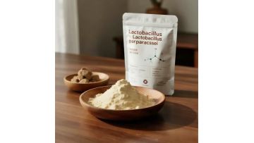 Lactobacillus Paracasei