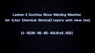 6 Cavities Blow Molding Machine 