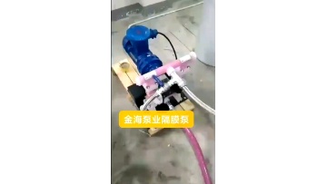 Polypropylene plastic Pneumatic Diaphragm Pump Structure  PVC air  pump   pneumatic pump1