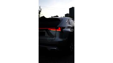 6113 Lexus NX200 NX300