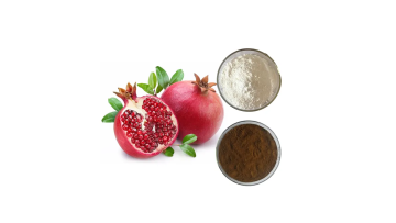 pomegranate extract