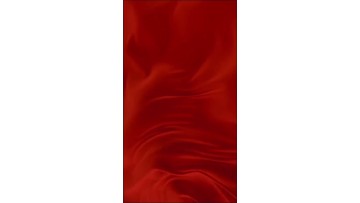 2025xiaonian