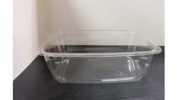 Salad Tub Container