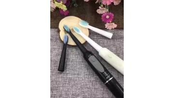 wholesale toothbrush electric tooth brush sonic toothbrush1
