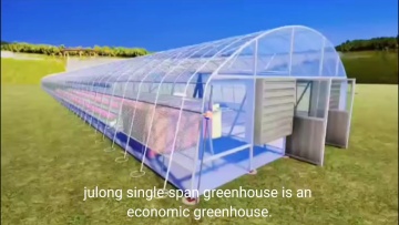 Capsicum Growing Single-span Greenhouses With hydroponics Growing System Indoor1