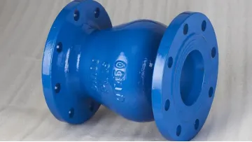 Drvz Energy Conservation DIN Cast Iron Silent Lift Check Valve with Spring1