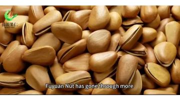 Company promotional video