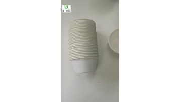 bagasse disposable 2oz cup