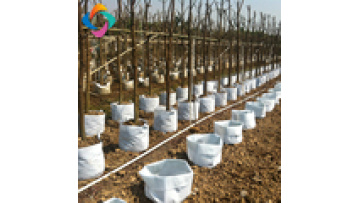 non woven fabric pot tree planting grow bags manufacturer1