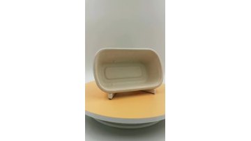 1000ml bagasse food container
