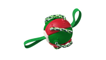 Dog Chew Balls