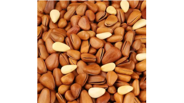Open Pine Nuts