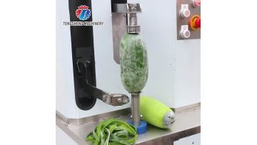 TS-P60S commercial pumpkin peeling machine
