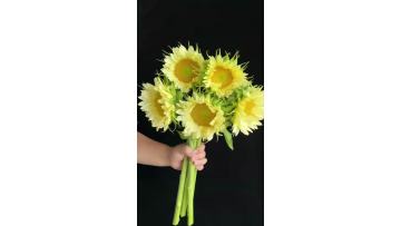 Premium Fresh Cut flower Cream Sunflower Bulk for Florist and Party