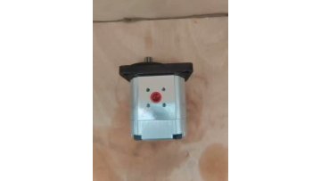 Alternative for a Danfoss gear motor with directional valve, 9-tooth!
