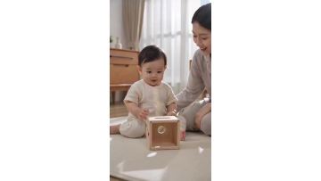 Baby all-wooden paper box toys
