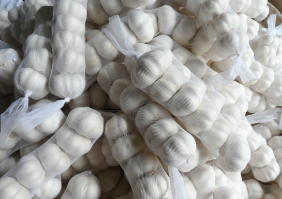 Mesh Bag Packing 5.5cm Fresh Normal White Garlic