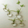 Terrarium Ball Globe Shape Clear Hanging Glass Vase Flower Planter Pots Wall Fish Tank Aquarium Container Homw Decor