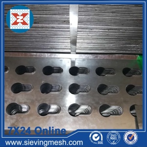 Special-shaped Perforated Metal Net