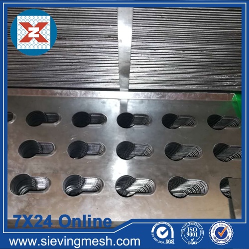 Special-shaped Perforated Metal Net wholesale