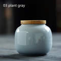 03 plant gray