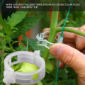 Durable Plastic Plant Support Clips For Types Plants Hanging Vine Garden Greenhouse Vegetables Garden Ornament