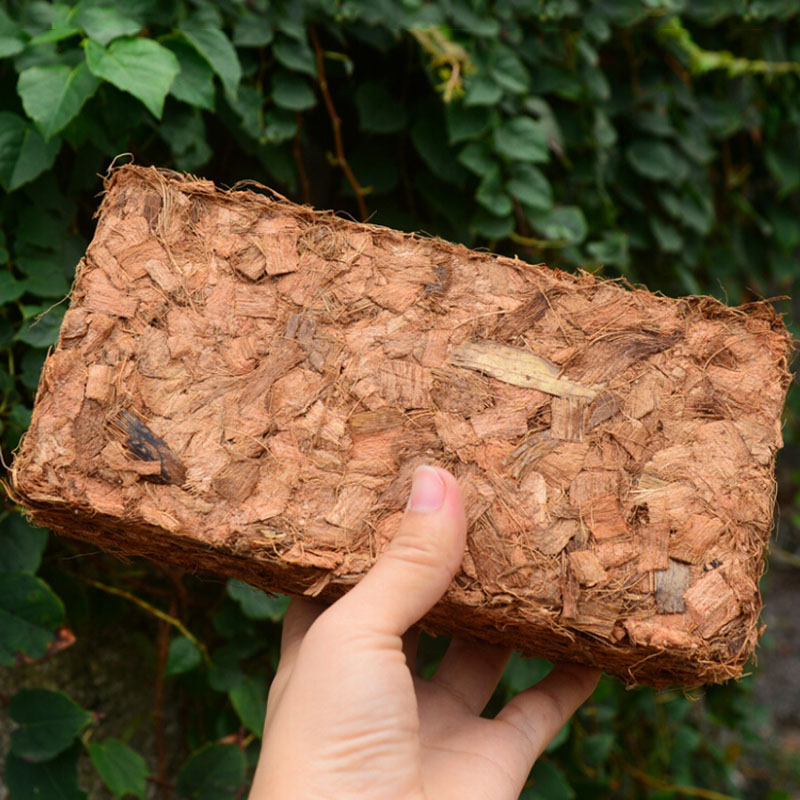 500g Green Natural Plant Coconut Shell Brick Universal Organic Nutrient Soil Coarse Grain Coconut Brick For Garden Vegetable