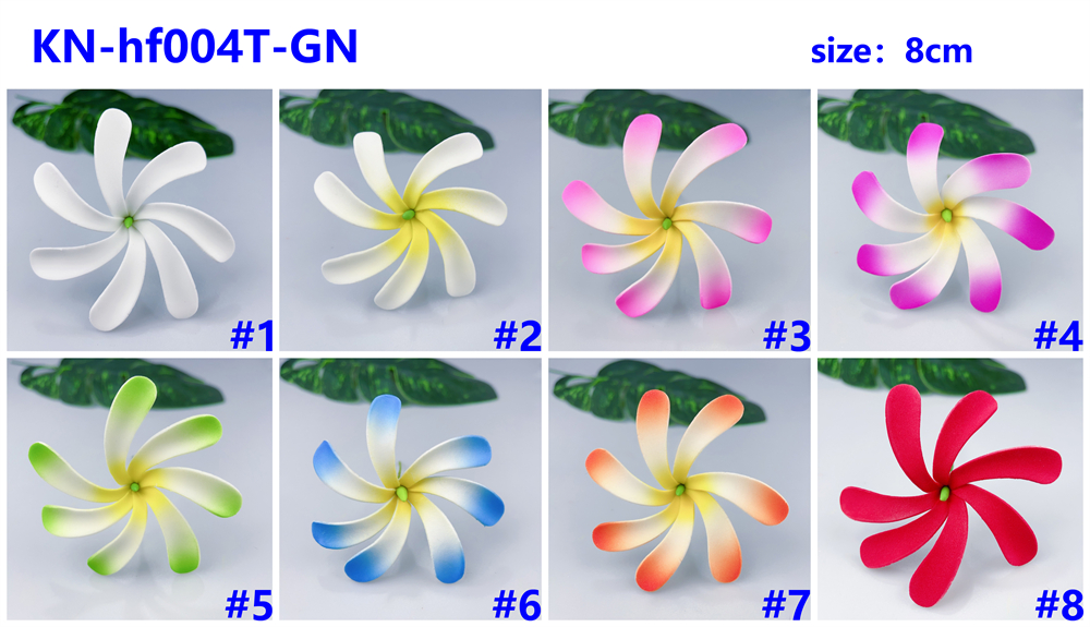 Kn Hf004t Gn
