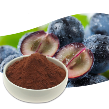 Grape Seed Extract Powder 95% for Food Supplements