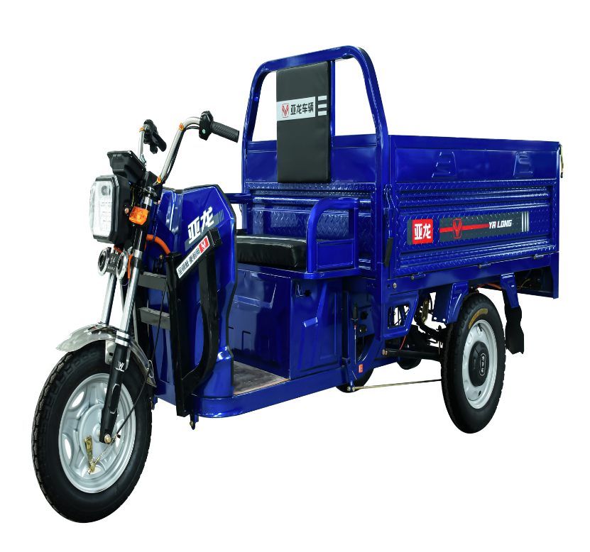 Best Electric Tricycle Bike