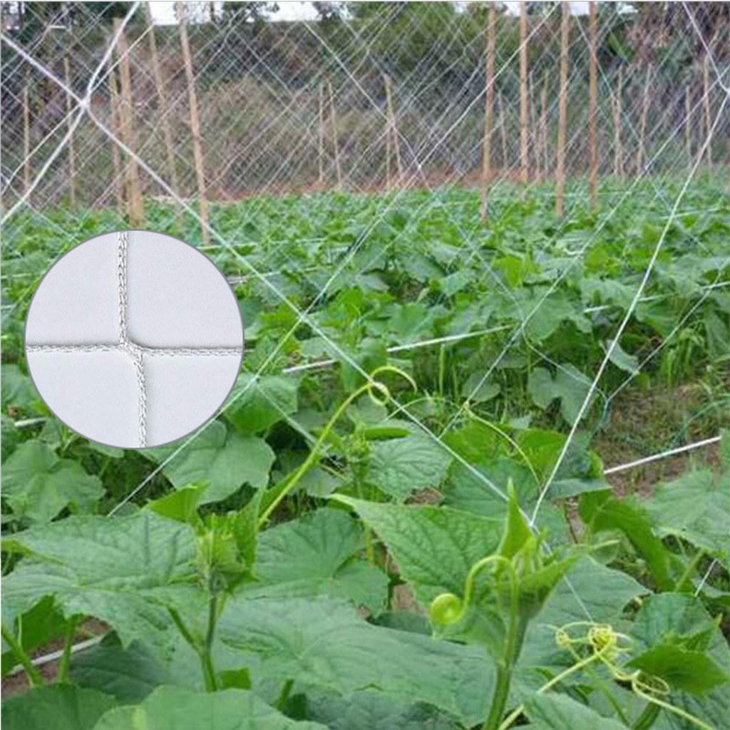 Garden Plants Climbing Net Plastic & Nylon Net Morning Glory Flower Vine Netting Support Net Grow Net Holder Garden Netting