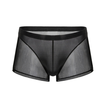 Men Sexy Underwear Mens Ultra-thin Mesh Boxer Transparent Boxershorts Underpants Male Elastic cueca Homme Panties Shorts Bottoms