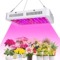 Full Spectrum Plant Growing Light For Veg Flowers