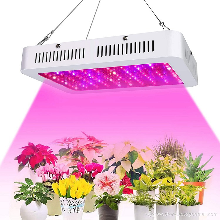 Full Spectrum 600W Plant Light for Indoor Growing