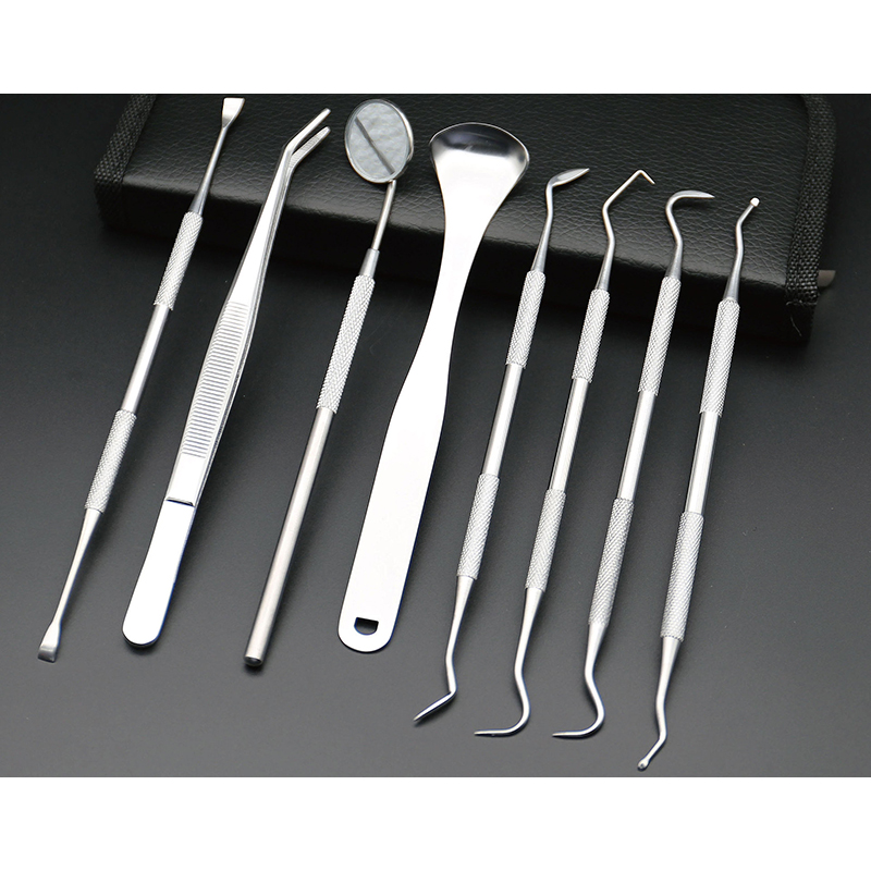 Double Ends Cleaning Hygienic Probe Hook Sticks Mirror for Teeth Stainless Steel Dental Tools Products with Cake