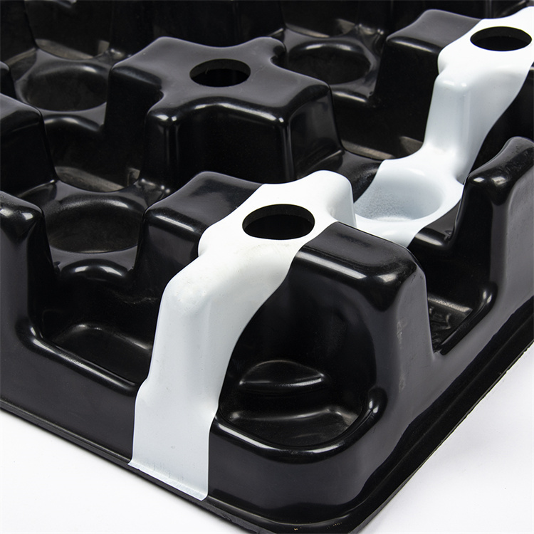 thermoforming plastic tray