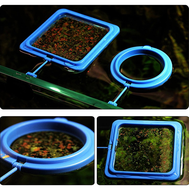 2019 New Feeding Ring Aquarium Fish Tank Station Floating Food Tary Feeder Square/Circle Drop shipping Pet Products