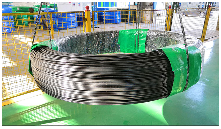 Spring Steel Wire 6