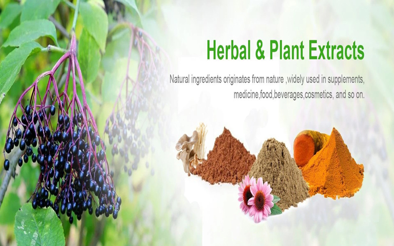 Plant Extracts