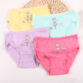 4pcs/Set Children's Briefs Cartoon Baby Girl Underwear Kids Pants for Boxer Shorts Gift Suit 2-10Y JP-TNN0059