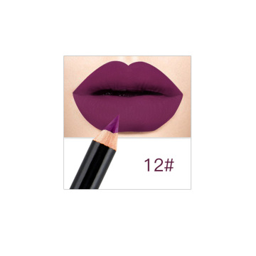 Waterproof Matte Lip Liner Lipstick Pen Makeup Tool New 12 Colors Fashion Lip Makeup Pencils Long Lasting Pigments TSLM1